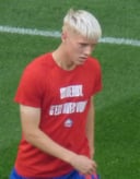 Haraldsson — Wikimedia Commons
