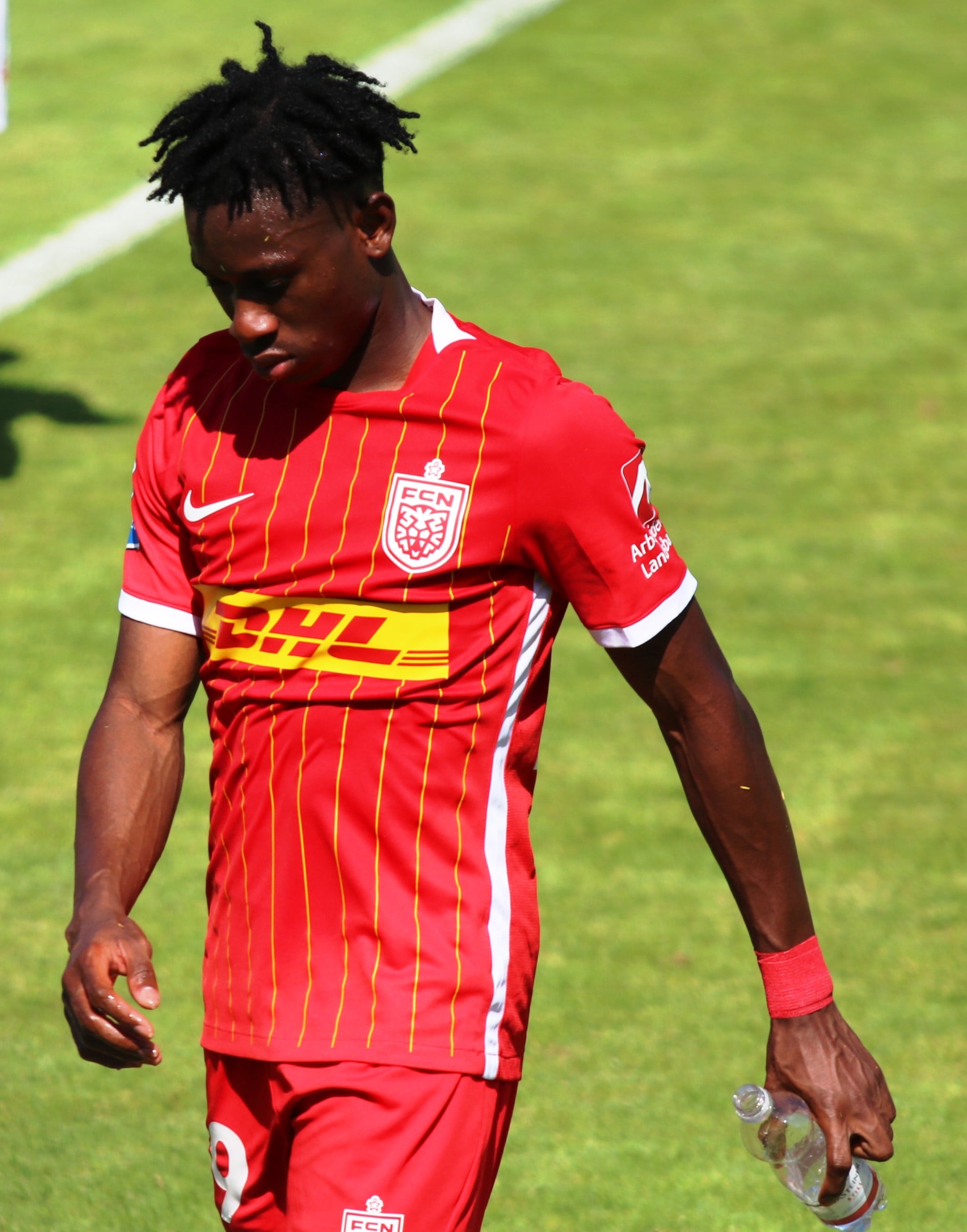 Maho Dorgeles