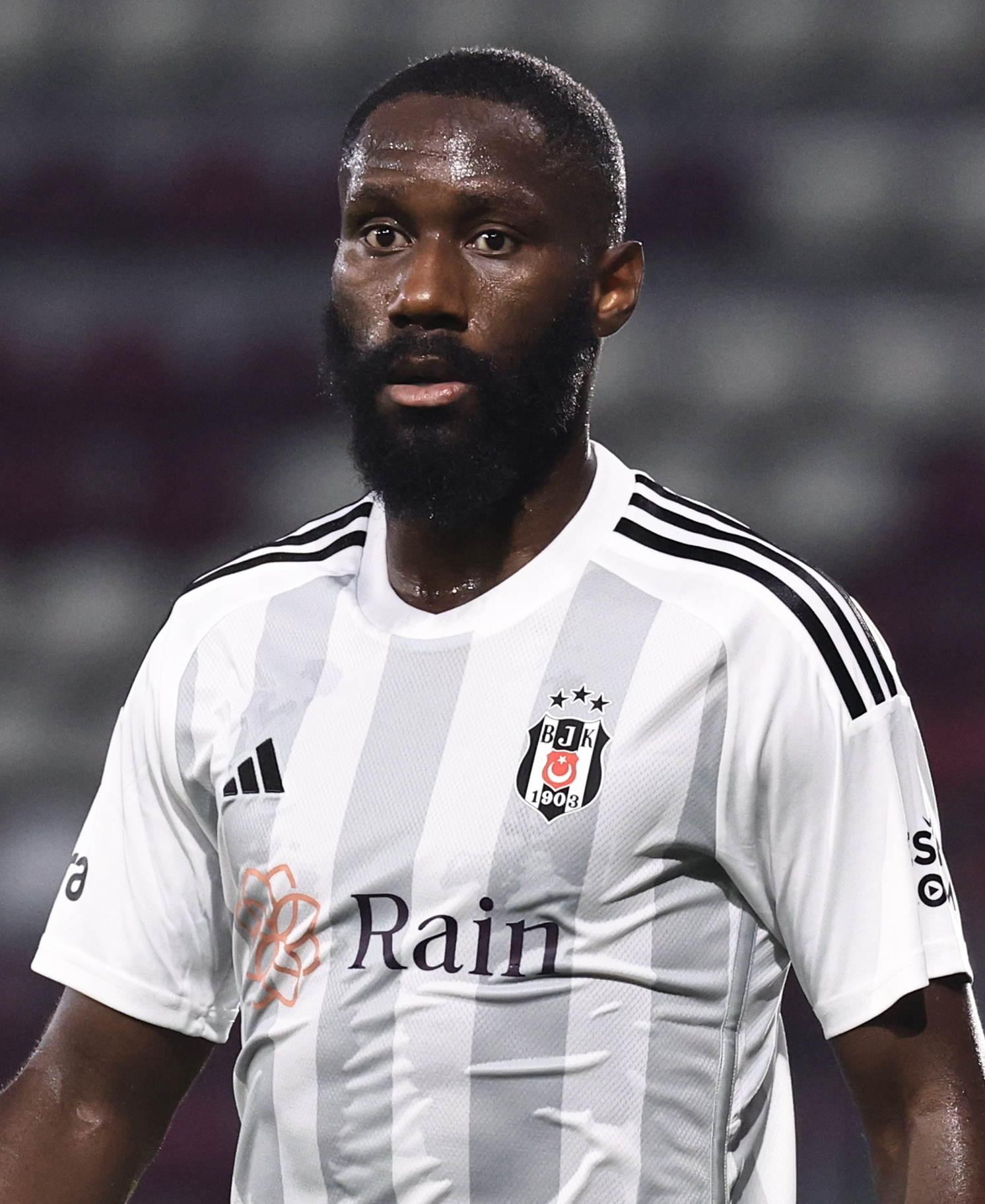 Masuaku — Wikimedia Commons