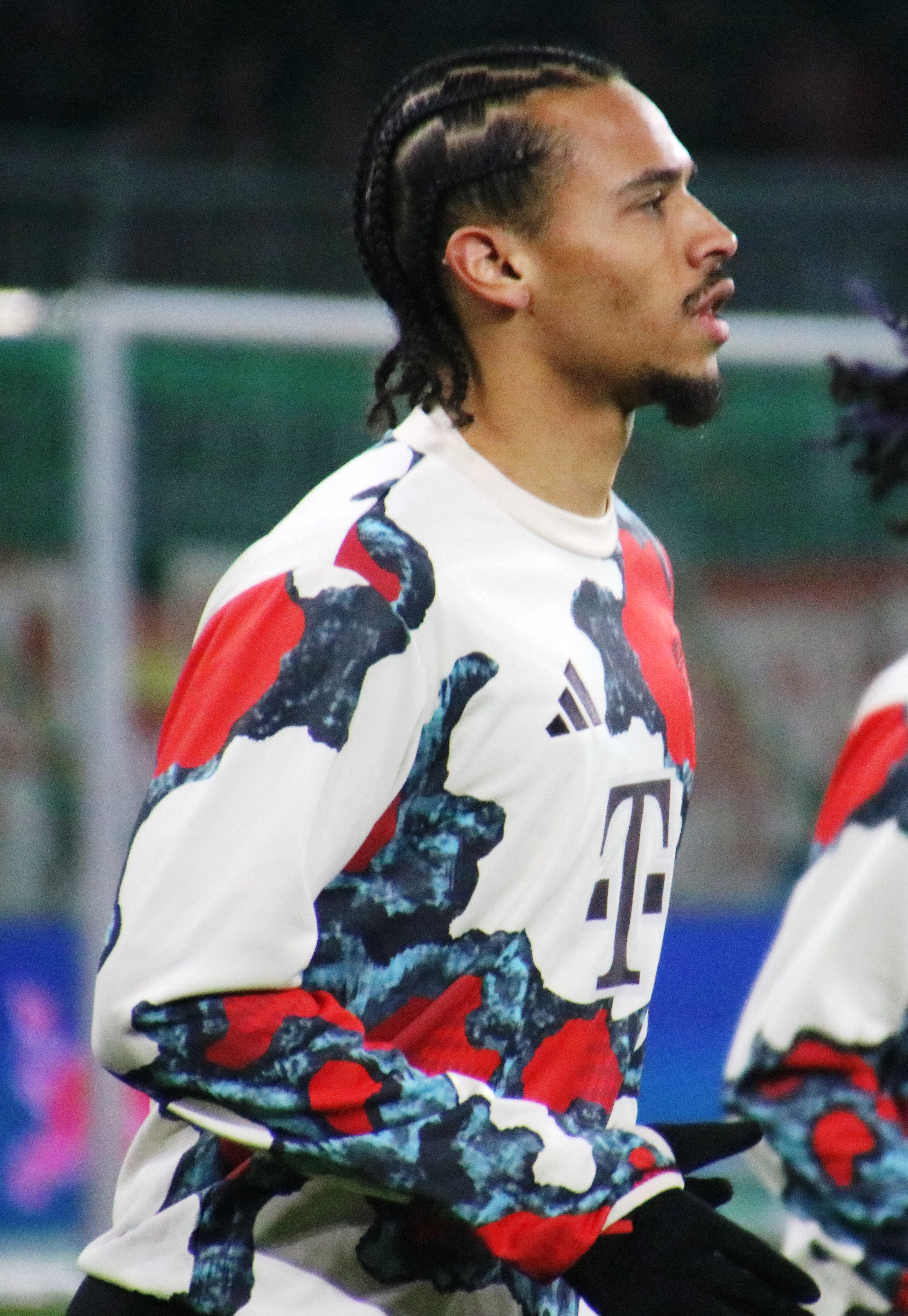 Sané — Wikimedia Commons